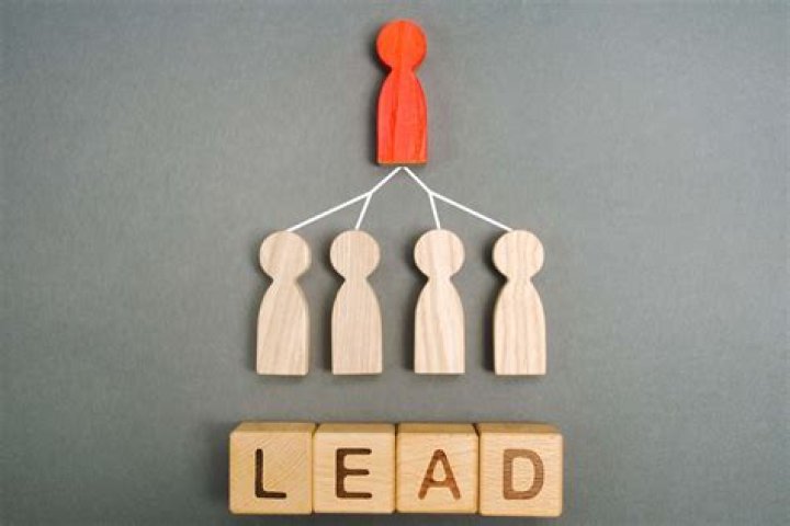 Is it lead or led a team